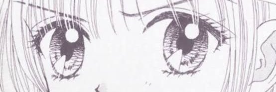 lanzi banner