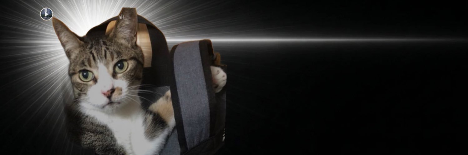 tibi_nasu's profile banner image