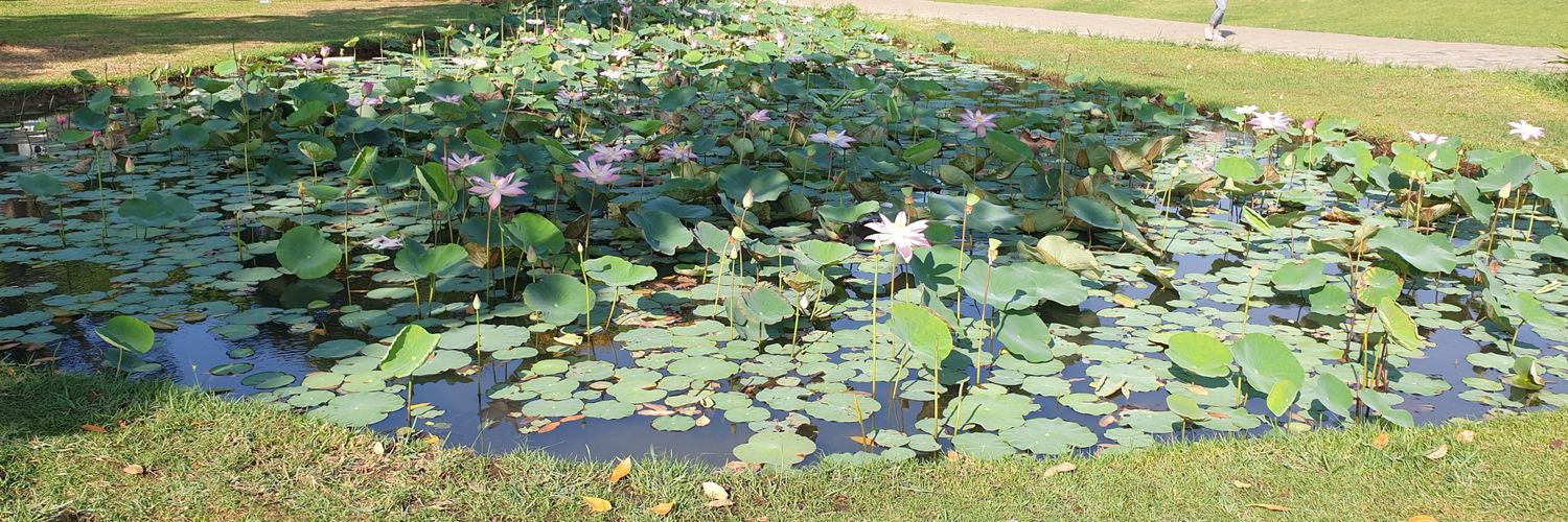 giang2507's profile banner image