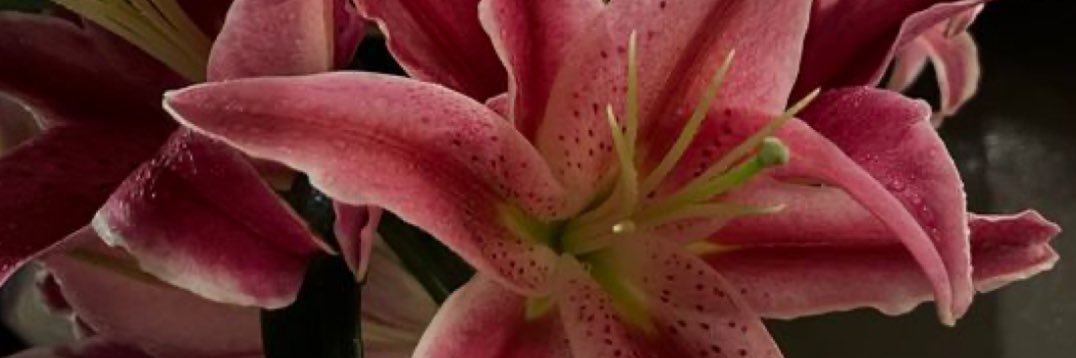 ru_2555's profile banner image