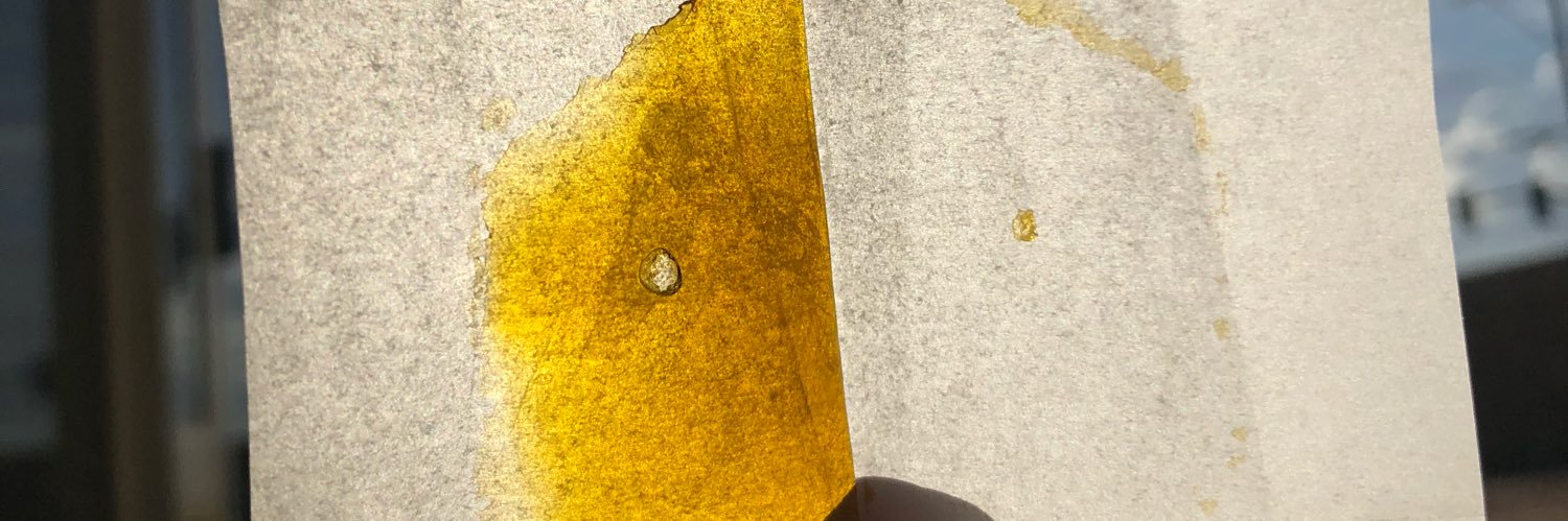 AshiaSaucier's profile banner image