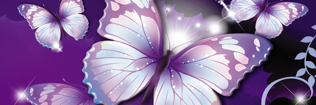 💜🩷Heidi Oller🩷💜 banner