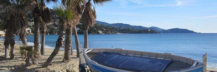 Patrick Paumier banner