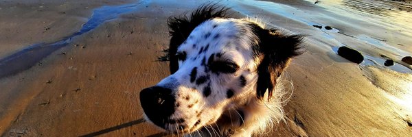 HoTGoMezpro Profile Banner