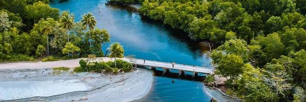 ThecklaGunga1 Profile Banner