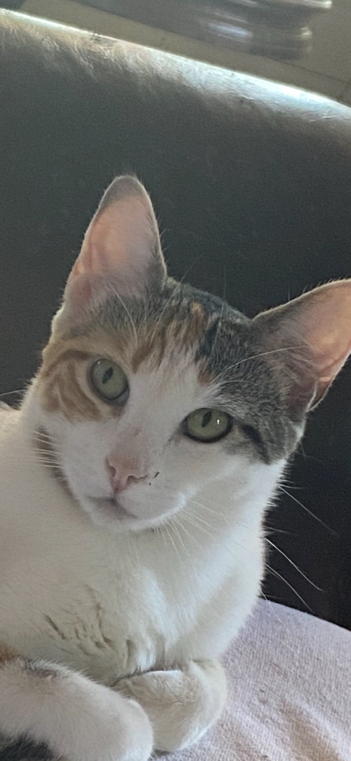 mrsartist's profile banner image