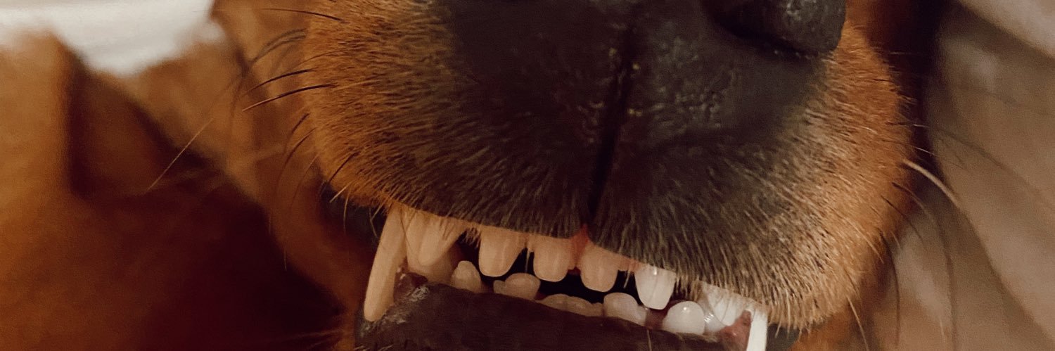 ekryagmur's profile banner image