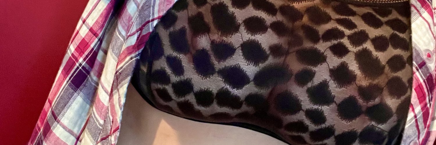 NancyNipslip's profile banner image