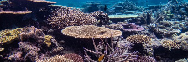 FutureReefslab Profile Banner