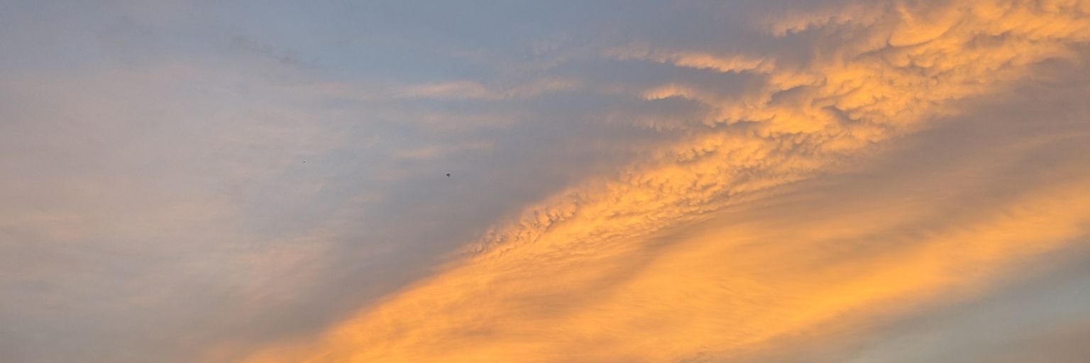 JumFul ( mainnet arc ) (❖,❖) banner