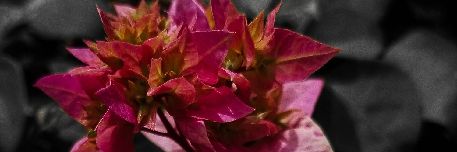 GLENtheCreative's profile banner image
