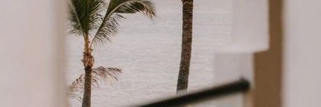 shd08435959's profile banner image