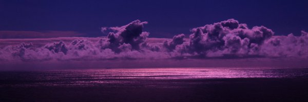 ItsNicoleGi Profile Banner