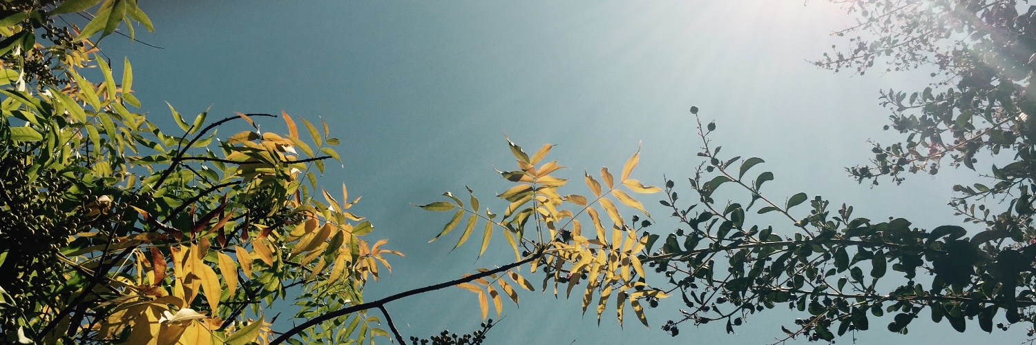 issybellapie's profile banner image