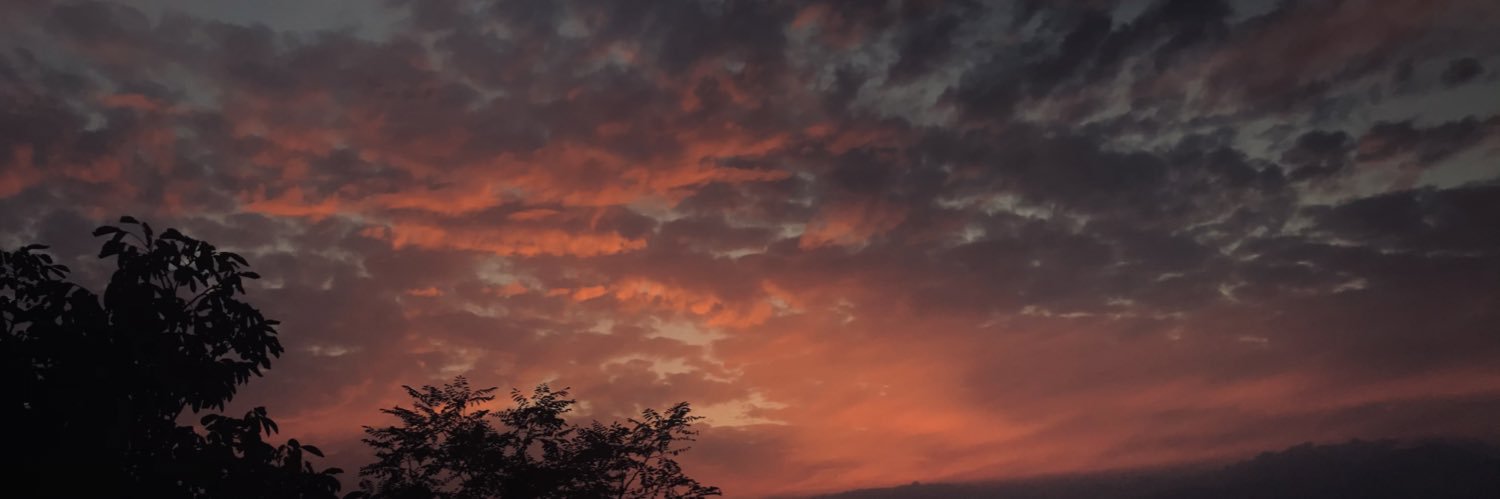 denizzekerr's profile banner image