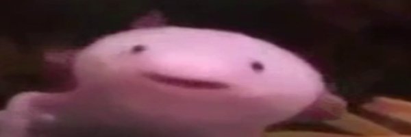 RokiLotl Profile Banner