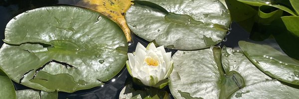 Need4Sleeb Profile Banner