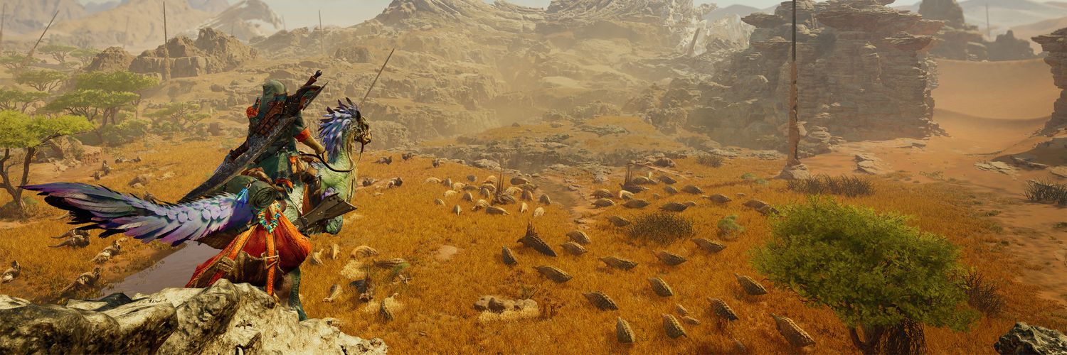 Rab #ERIKNATION banner