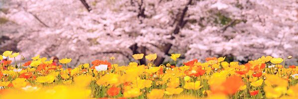 ao_719's profile banner image