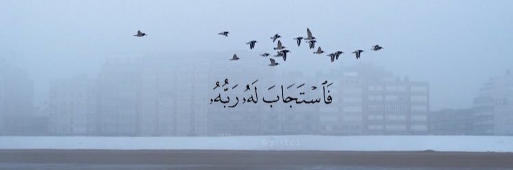 teacher__mm's profile banner image