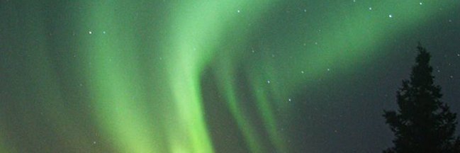 EarleColleen's profile banner image