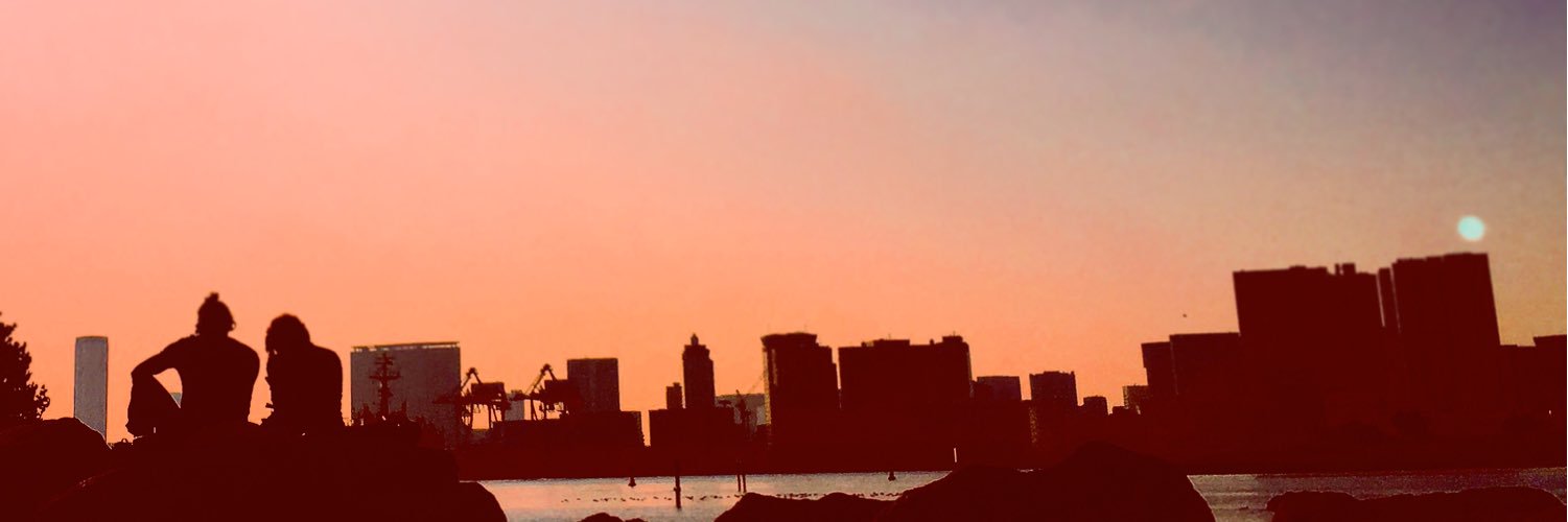 Lejfieg's profile banner image