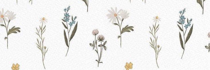 🐰 banner