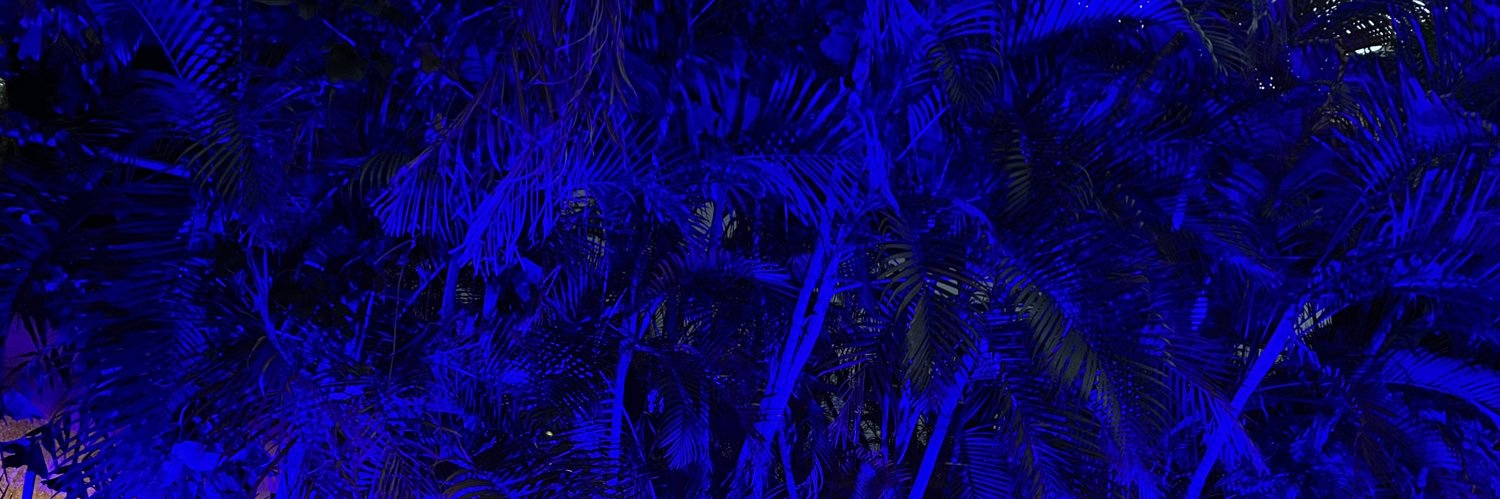 CosteaCiprianDa's profile banner image