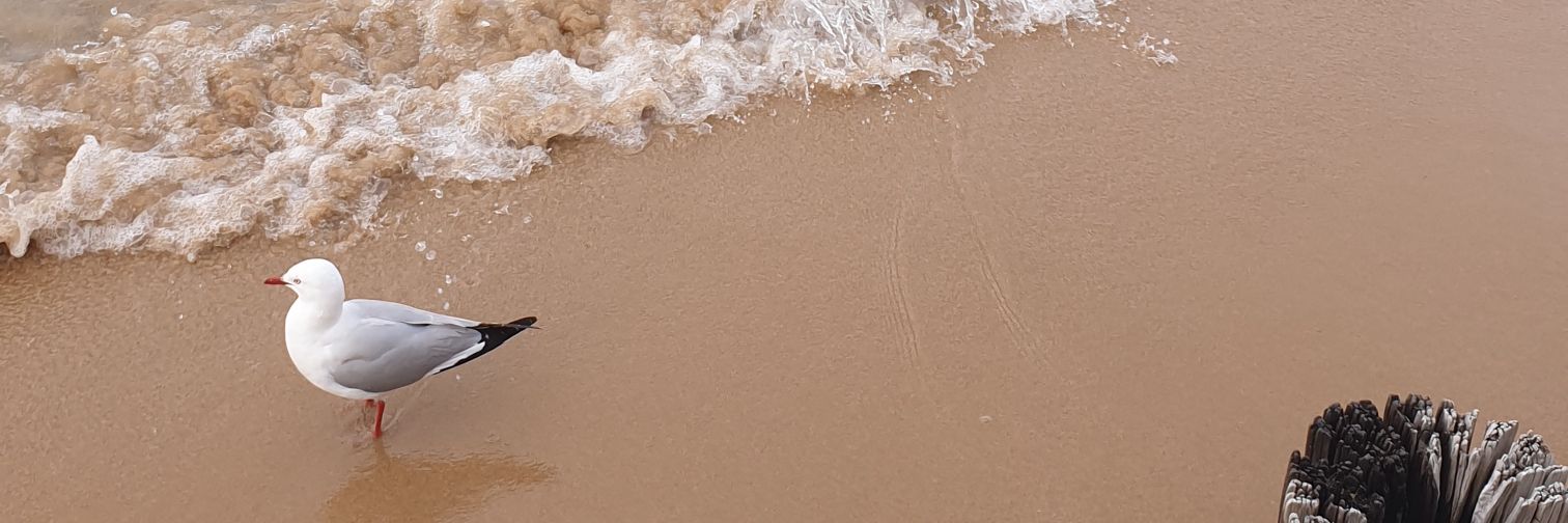 Ebrubb's profile banner image
