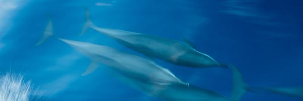 _samgreenfield_ Profile Banner