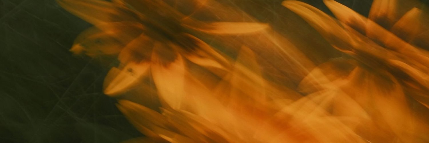miggoww's profile banner image