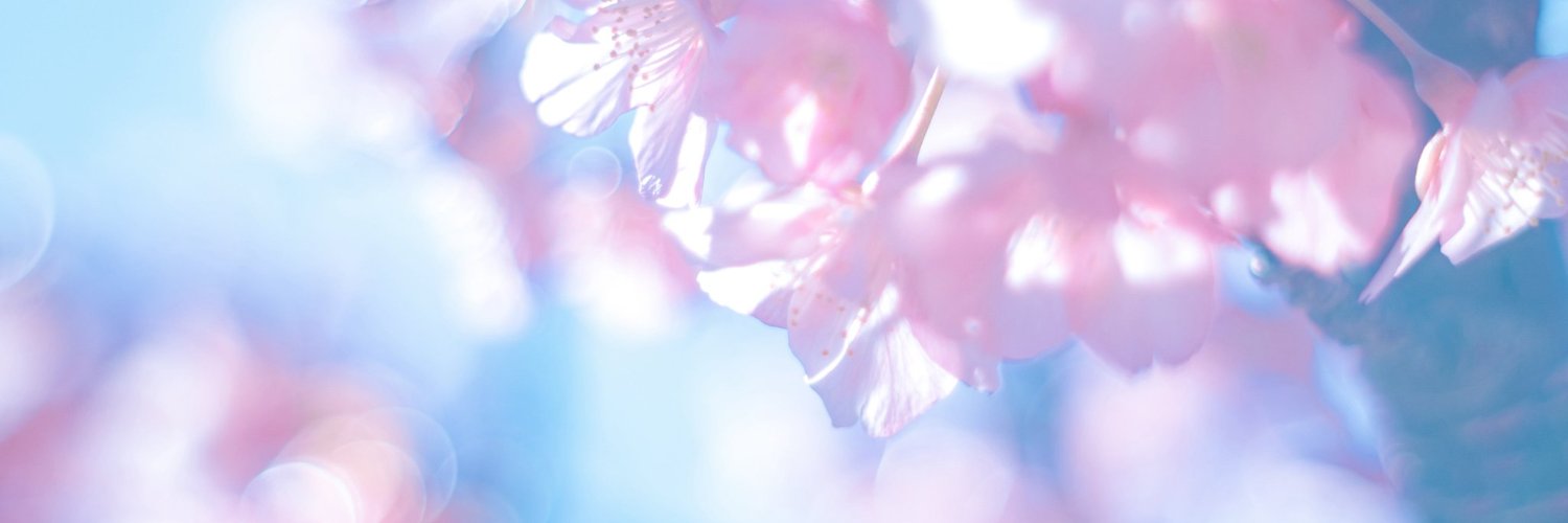 alysssaly's profile banner image