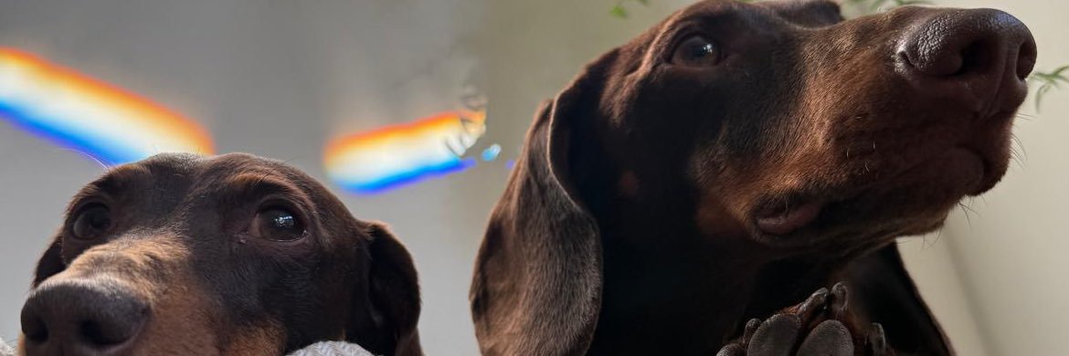 Yootje2020's profile banner image