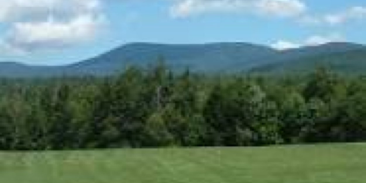 Mike Spillman banner