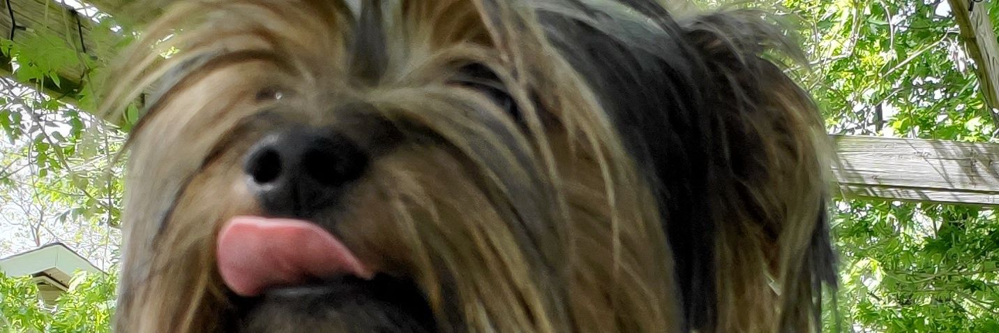 slothmonkey1010's profile banner image