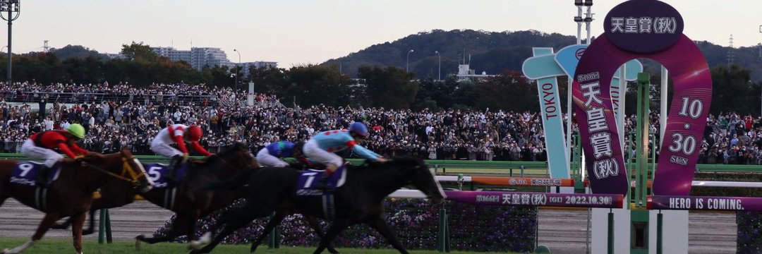 アンドレア banner