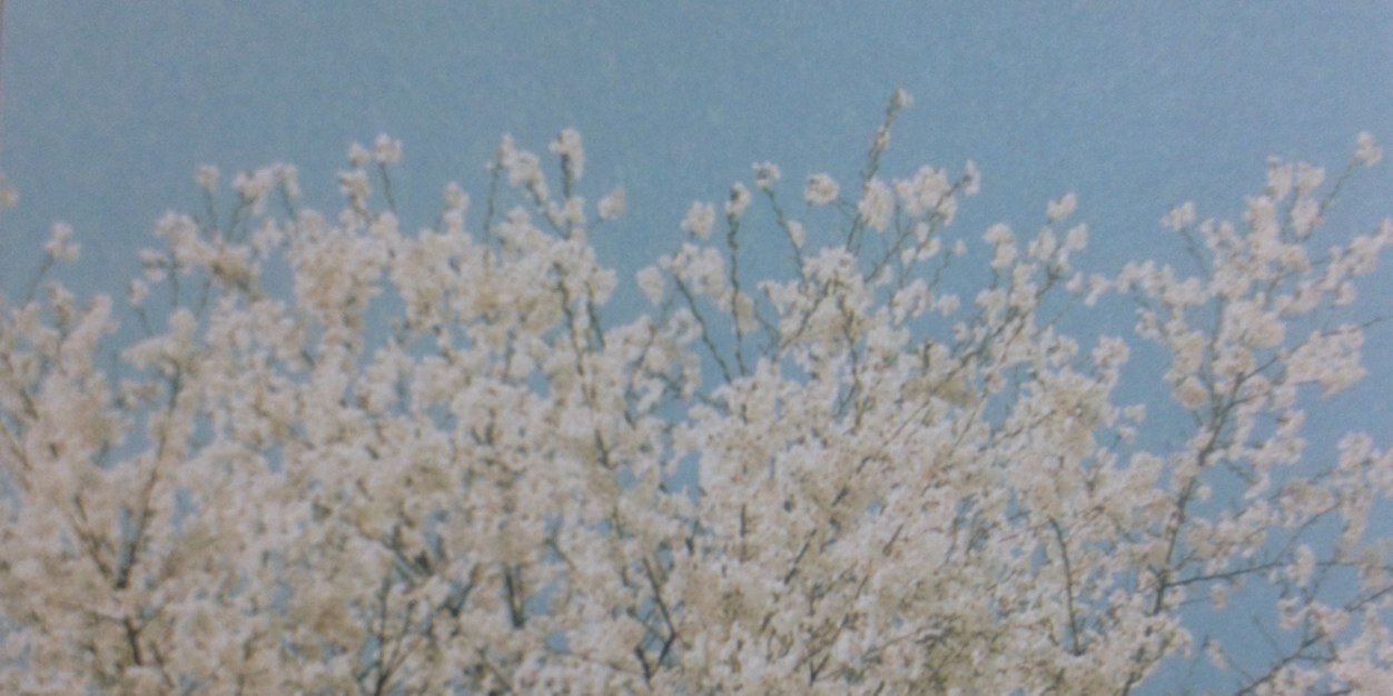 noru27's profile banner image