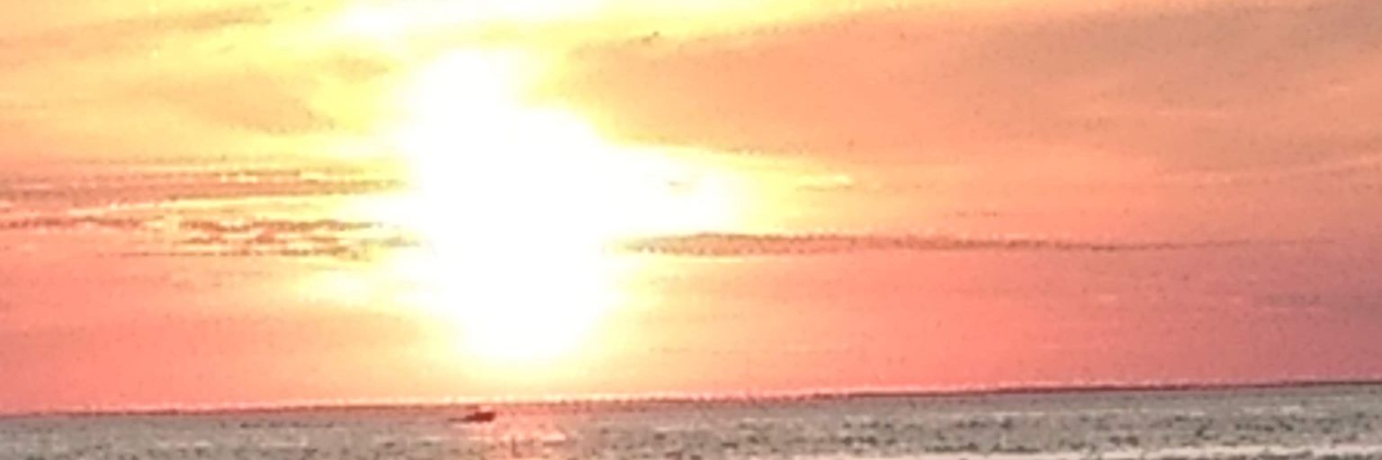 dtaylor1's profile banner image
