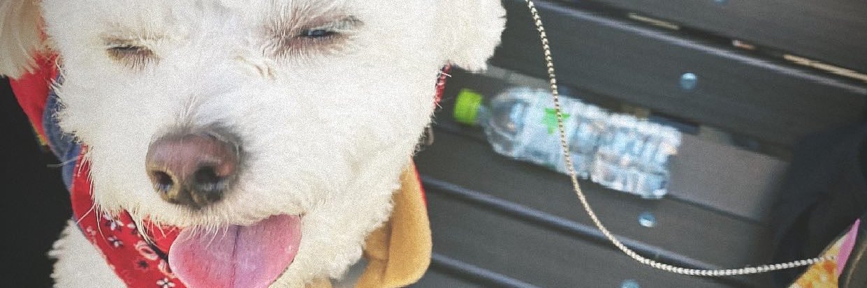 umeno0111's profile banner image