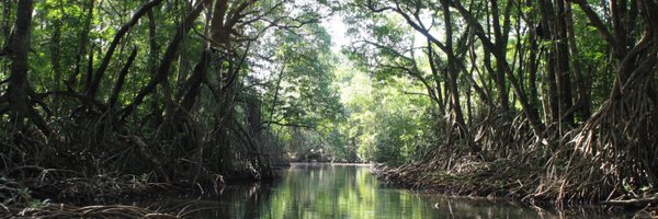 SImarineconserv Profile Banner
