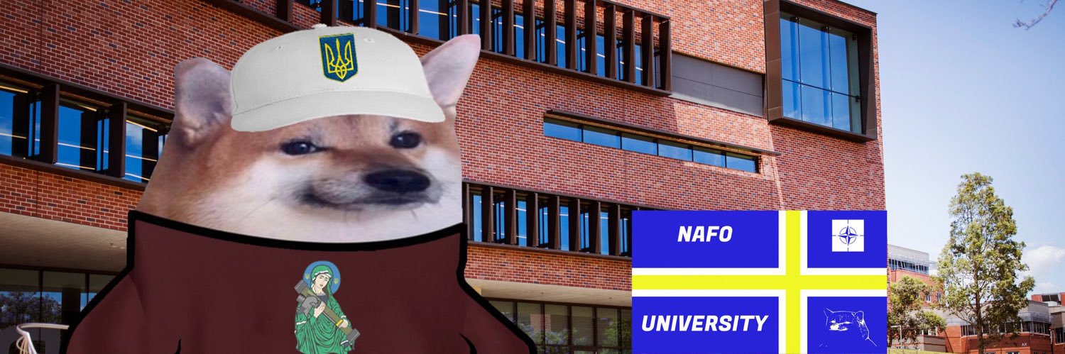 WorkingStudentFella banner