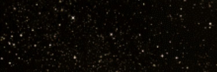 crawfsangel's profile banner image