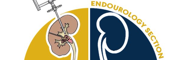 Endo_Sec_Eua Profile Banner
