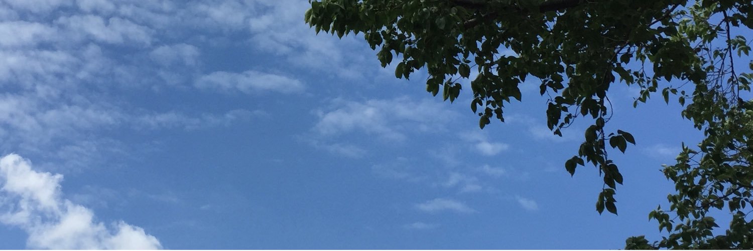 Mayberin's profile banner image