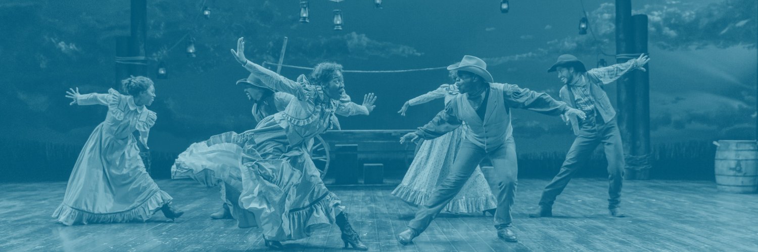 Denver Center for the Performing Arts (DCPA) banner