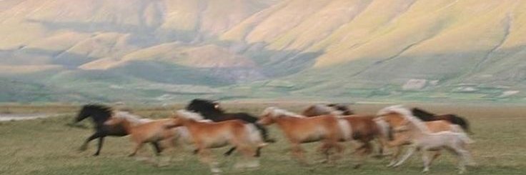 🚬 نیکوتـین 🚬 banner