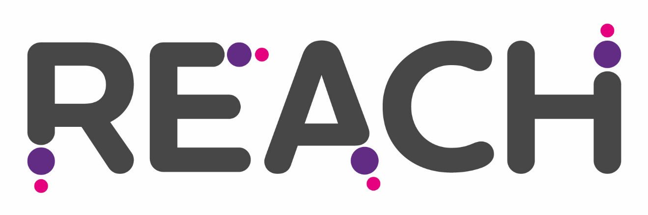 Reach Pathways banner