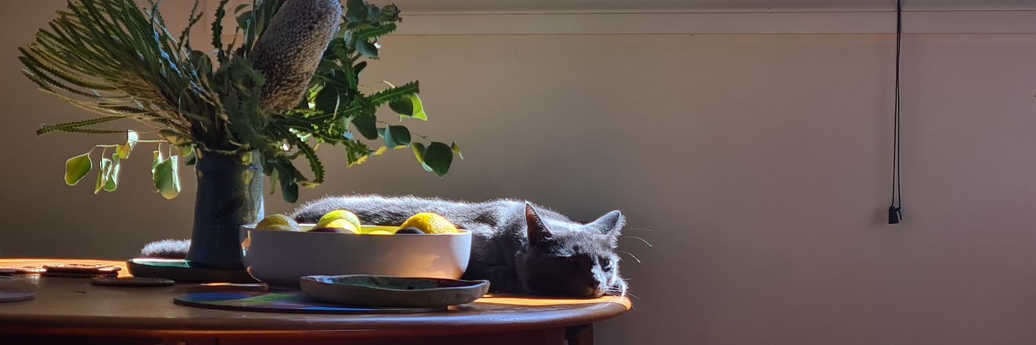 miss_meels's profile banner image