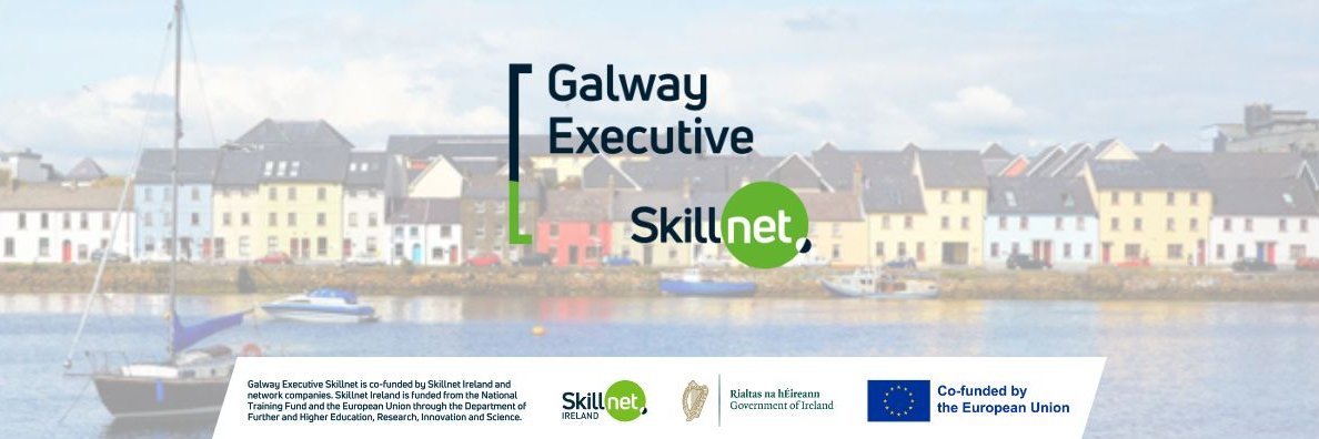 Galway Executive Skillnet banner