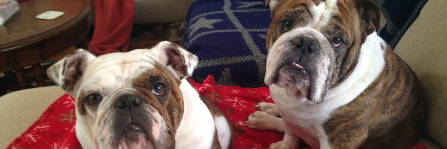 HeartMyBully's profile banner image